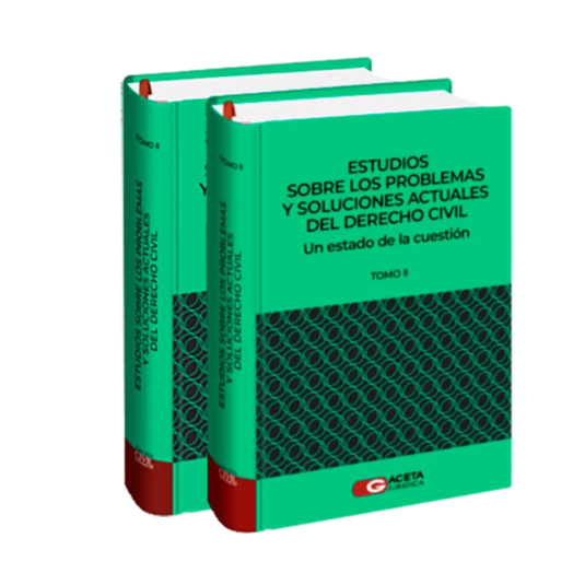 ESTUDIOS SOBRE LOS PROBLEMAS Y SOLUCIONES ACTUALES DEL DERECHO CIVIL. Un Estado de la Cuestión. 2 Tomos