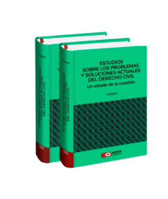 ESTUDIOS SOBRE LOS PROBLEMAS Y SOLUCIONES ACTUALES DEL DERECHO CIVIL. Un Estado de la Cuestión. 2 Tomos