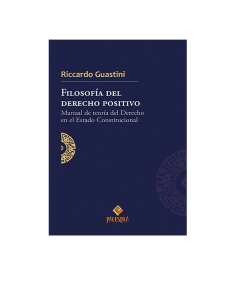 FILOSOFÍA DEL DERECHO POSITIVO. Manual de teoría del Derecho en el Estado Constitucional