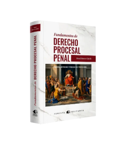 FUNDAMENTOS DE DERECHO PROCESA