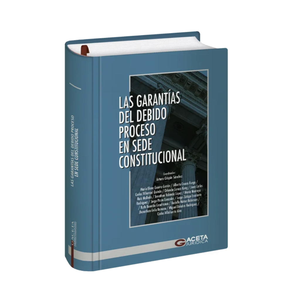 GARANTÍAS DEL DEBIDO PROCESO EN SEDE CONSTITUCIONAL