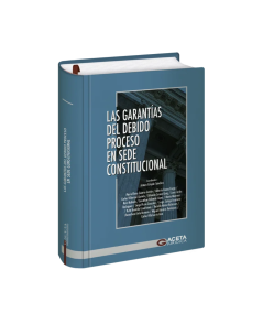 GARANTÍAS DEL DEBIDO PROCESO EN SEDE CONSTITUCIONAL