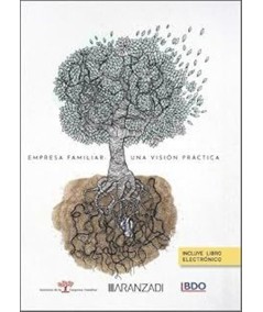 EMPRESA FAMILIAR: UNA VISIÓN PRÁCTICA