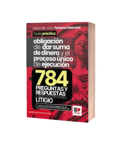 GUÍA PRACTICA OBLIGACIÓN DE DAR SUMA DE DINERO Y EL PROCESO ÚNICO DE EJECUCIÓN