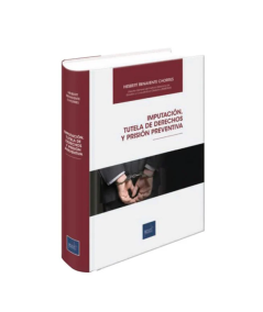 IMPUTACIÓN, TUTELA DE DERECHOS Y PRISIÓN PREVENTIVA