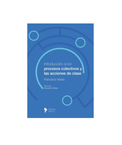 INTRODUCCION A LOS PROCESOS COLECTIVOS Y LAS ACCIONES DE CLASE