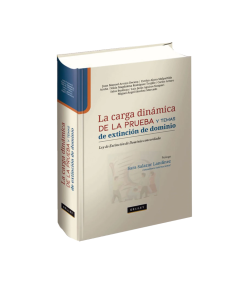LA CARGA DINÁMICA DE LA PRUEBA Y TEMAS DE EXTINCIÓN DE DOMINIO