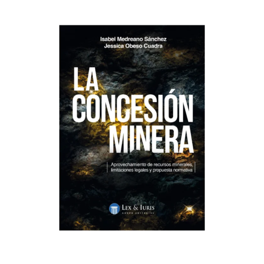 LA CONCESIÓN MINERA