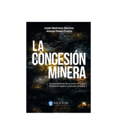LA CONCESIÓN MINERA