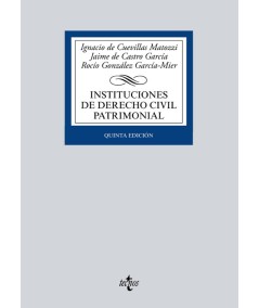 INSTITUCIONES DE DERECHO CIVIL PATRIMONIAL