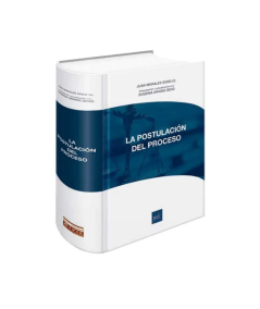 LA POSTULACION DEL PROCESO