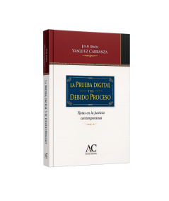 LA PRUEBA DIGITAL Y EL DEBIDO PROCESO