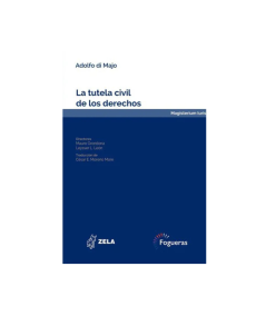 LA TUTELA CIVIL DE LOS DERECHOS