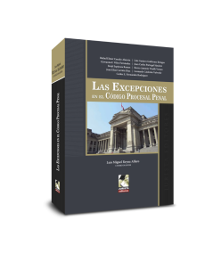 LAS EXCEPCIONES EN EL CÓDIGO PROCESAL PENAL