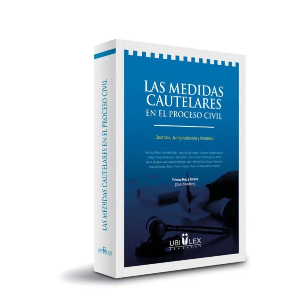 LAS MEDIDAS CAUTELARES EN EL PROCESO CIVIL