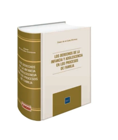 LOS DERECHOS DE LA INFANCIA Y ADOLESCENCIA EN LOS PROCESOS DE FAMILIA