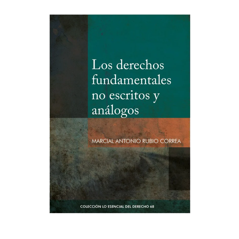 LOS DERECHOS FUNDAMENTALES NO ESCRITOS Y ANÁLOGOS