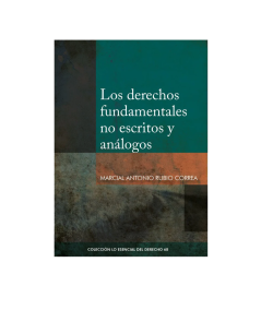 LOS DERECHOS FUNDAMENTALES NO ESCRITOS Y ANÁLOGOS