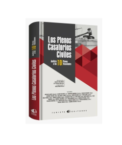 LOS PLENOS CASATORIOS CIVILES. Análisis a los 10 plenos vinculantes