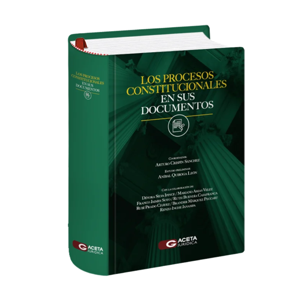 LOS PROCESOS CONSTITUCIONALES EN SUS DOCUMENTOS