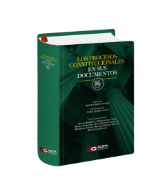 LOS PROCESOS CONSTITUCIONALES EN SUS DOCUMENTOS