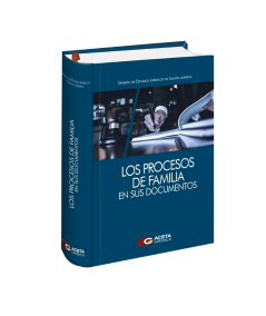 LOS PROCESOS DE FAMILIA EN SUS DOCUMENTOS
