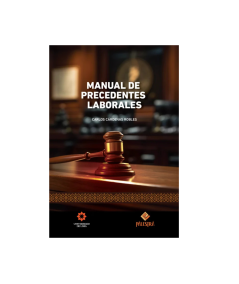 MANUAL DE PRECEDENTES LABORALES