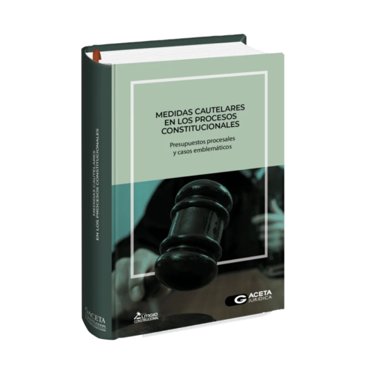 MEDIDAS CAUTELARES EN LOS PROCESOS CONSTITUCIONALES. Presupuestos procesales y casos emblemáticos