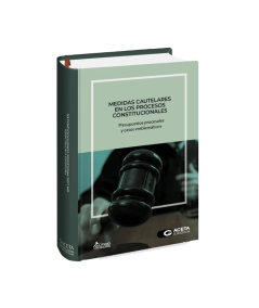 MEDIDAS CAUTELARES EN LOS PROCESOS CONSTITUCIONALES. Presupuestos procesales y casos emblemáticos
