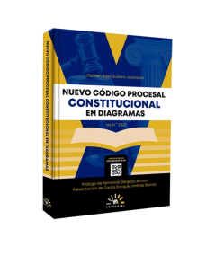 NUEVO CÓDIGO PROCESAL CONSTITUCIONAL EN DIAGRAMAS