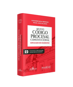NUEVO CÓDIGO PROCESAL CONSTITUCIONAL EXPLICADO EN DIAGRAMAS