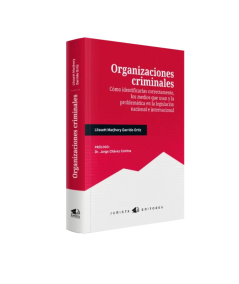 ORGANIZACIONES CRIMINALES
