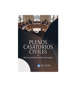 PLENOS CASATORIOS CIVILES & PLENOS JURISDICCIONALES NACIONALES