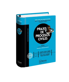 PRAXIS DE PROCESOS CIVILES