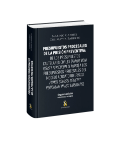 PRESUPUESTOS PROCESALES DE LA PRISIÓN PREVENTIVA