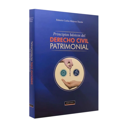 PRINCIPIOS BÁSICOS DEL DERECHO CIVIL PATRIMONIAL