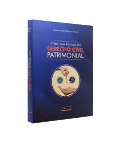 PRINCIPIOS BÁSICOS DEL DERECHO CIVIL PATRIMONIAL