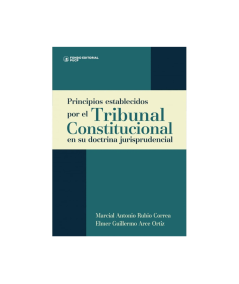 PRINCIPIOS ESTABLECIDOS POR EL TRIBUNAL CONSTITUCIONAL EN SU DOCTRINA JURISPRUDENCIAL