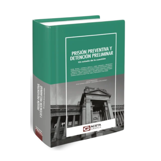 PRISIÓN PREVENTIVA Y DETENCIÓN PRELIMINAR