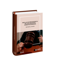 REGLAS DE PROCEDENCIA EN LOS PROCESOS CONSTITUCIONALES