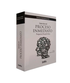 SISTEMÁTICA DEL PROCESO INMEDIATO