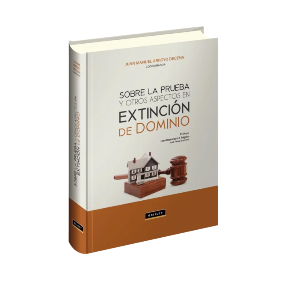 SOBRE LA PRUEBA Y OTROS ASPECTOS EN EXTINCIÓN DE DOMINIO