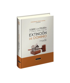 SOBRE LA PRUEBA Y OTROS ASPECTOS EN EXTINCIÓN DE DOMINIO
