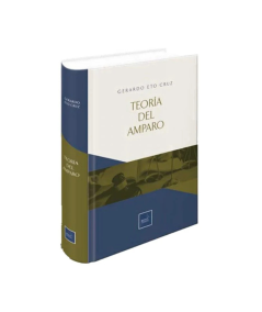 TEORÍA DEL AMPARO