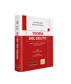 TEORÍA DEL DELITO
