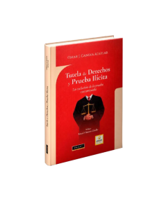 TUTELA DE DERECHOS Y PRUEBA ILÍCITA