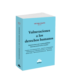 VULNERACIONES A LOS DERECHOS HUMANOS