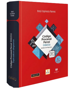 CÓDIGO PROCESAL PENAL DIDÁCTICO