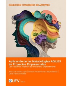 APLICACIÓN DE LAS METODOLOGÍAS ÁGILES EN PROYECTOS EMPRESARIALES