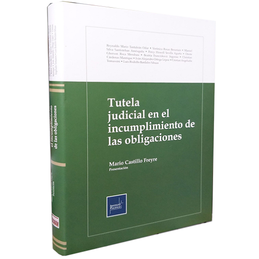 TUTELA JUDICIAL EN EL INCUMPLIMIENTO DE LAS OBLIGACIONES